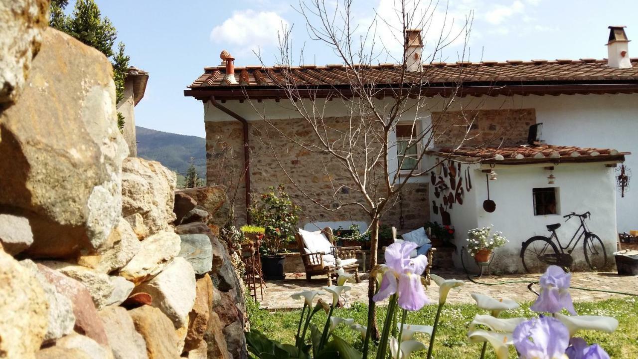 Il Colle Calci Villa Exterior foto